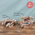 Ariro Toys Rotating Puzzle - Amphibians