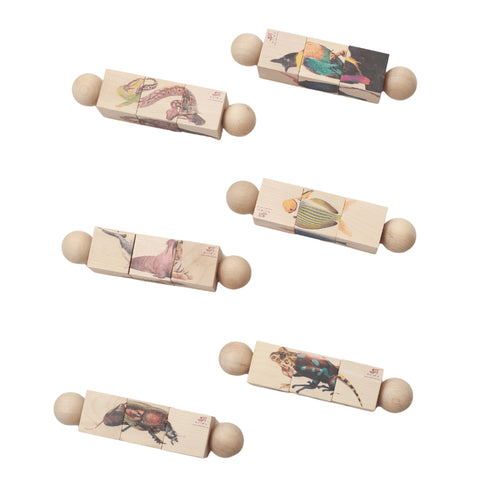 Ariro Toys Ariro Rotating Puzzle | Classification of Animals