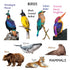 Ariro Toys Ariro Rotating Puzzle | Classification of Animals