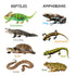 Ariro Toys Ariro Rotating Puzzle | Classification of Animals