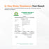 Chosen SAFESCREEN TINTENSE T1 Bisque Tinted Sunscreen Lotion PA SPF 30