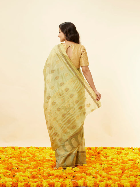 Mohey Pista Green Fern and Paisley Motif Saree