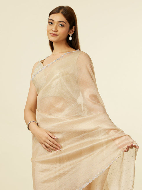 Mohey Classic Fawn Stone Embellished Saree