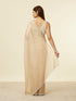 Mohey Classic Fawn Stone Embellished Saree
