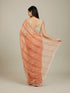 Mohey Rust Red Diagonal Striped Saree with Cutdana And Sequin Work