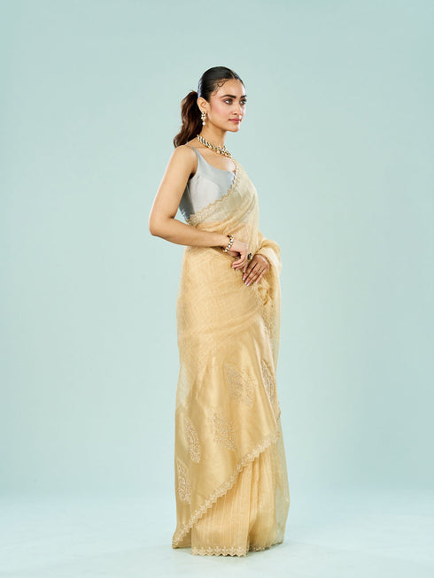 Mohey Lustrous Beige Saree