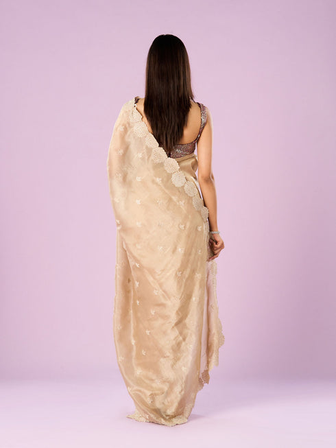 Mohey Fawn Chinon Elegance Saree