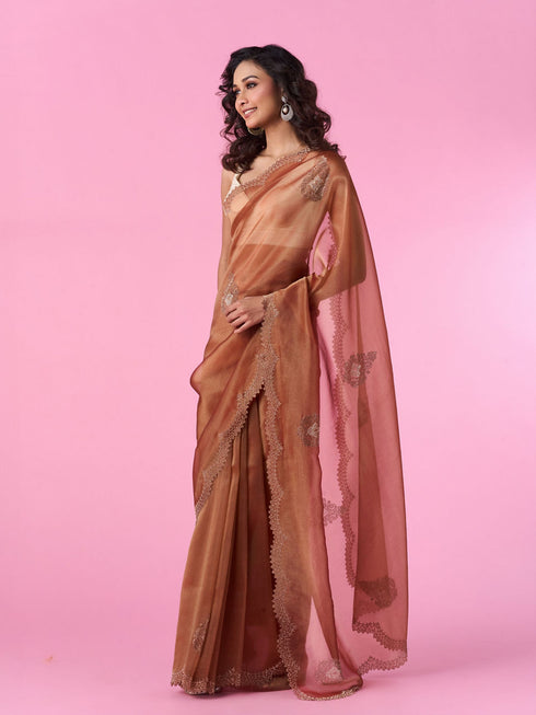 Mohey Elegant Rust Red Tissue Saree