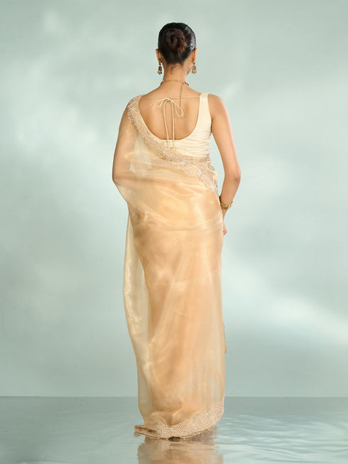 Mohey Ethereal Beige Organza Saree