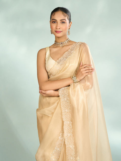 Mohey Ethereal Beige Organza Saree