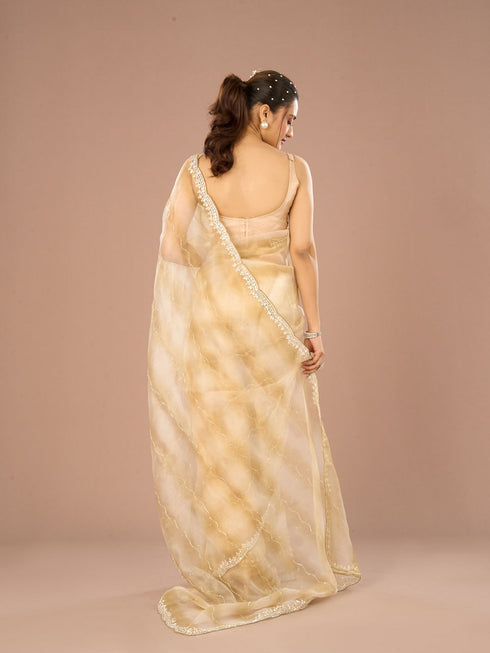 Mohey Green Glory Organza Saree