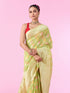 Mohey Pista Green Elegance Saree