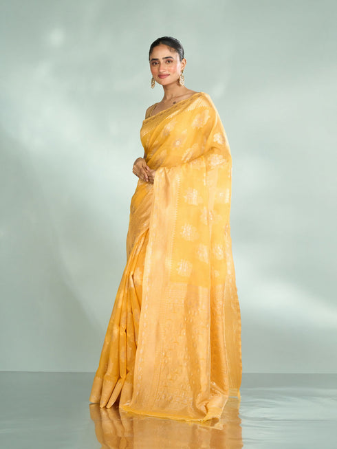 Mohey Sunny Elegance Saree