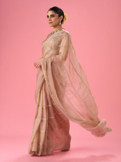 Mohey Fawn Elegance Party Wear Saree