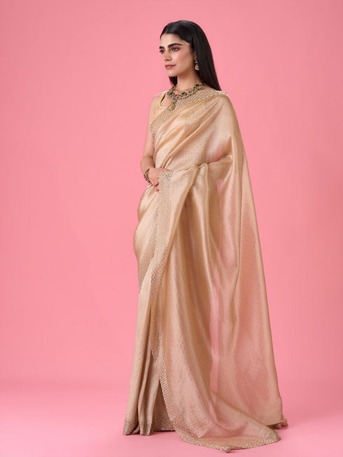 Mohey Exquisite Beige Organza Saree