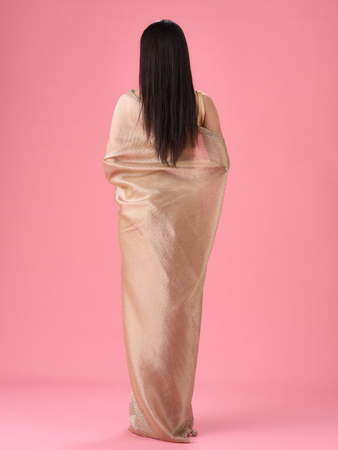 Mohey Exquisite Beige Organza Saree