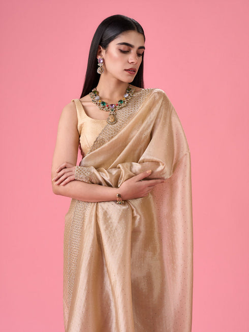 Mohey Exquisite Beige Organza Saree