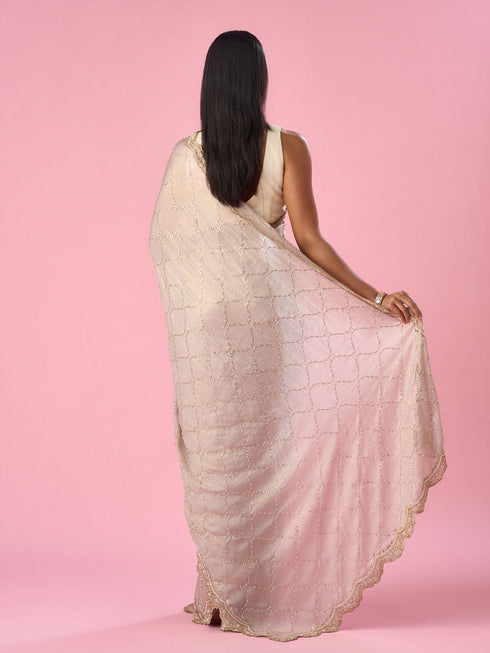 Mohey Fawn Chiffon Saree with Hand Embroidery