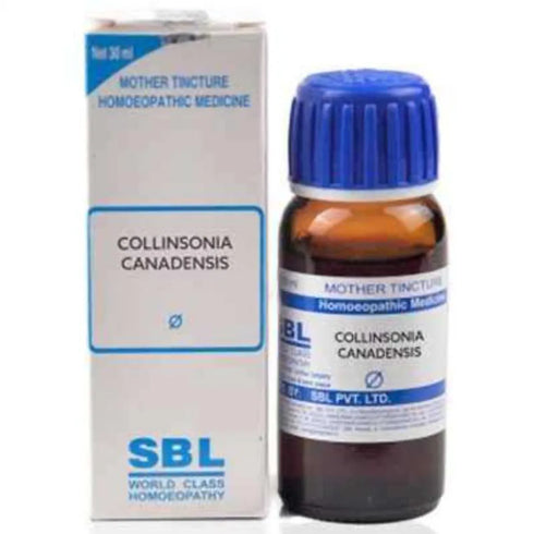 SBL Collinsonia Canadensis Mother Tincture Q 30ml
