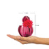 Ajmal Perfumes India SENORA Perfume for Women