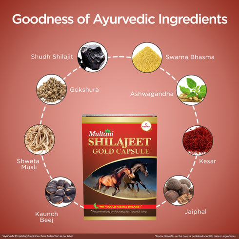 Multani Pharmaceuticals Limited Multani Shilajeet Gold Capsule For Youthful Living Stamina & Endurance