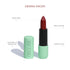 Disguise Satin Matte Lipstick Sienna Racer 12