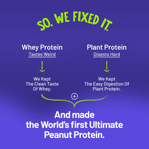 Alpino Supernatural Peanut Protein Powder Isolate Dark Chocolate - Protein