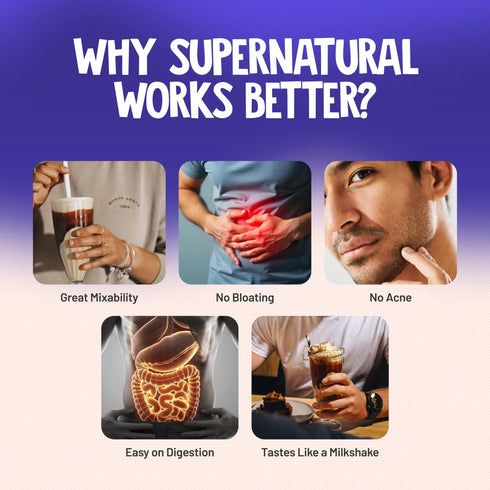 Alpino Supernatural Peanut Protein Powder Isolate Dark Chocolate - Protein