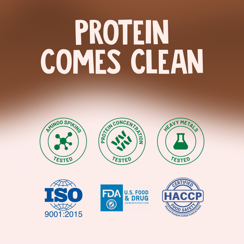 Alpino Trial Pack Supernatural Peanut Protein Powder Cold Coffee
