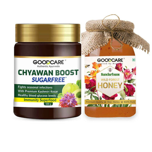 Goodcare Wild Forest Honey & Chyawan Boost A Natural Health Combo