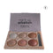 Shills Professional Highlighter Makeup Kit