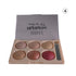 Shills Professional Highlighter Makeup Kit