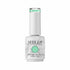 Shills Professional UV/LED Cool Gel Polish(SPG125-SPG165)