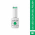 Shills Professional UV/LED Cool Gel Polish(SPG166-SPG206)