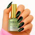 Shills Professional 9D Cat Eye Gel Polish