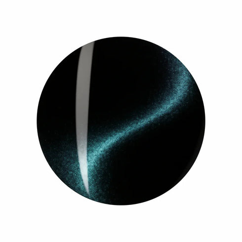 Shills Professional 9D Cat Eye Gel Polish