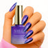 Shills Professional Magnetic Tiger Eye Gel Polish