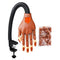 Shills Professional Nail Training Hand
