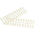 Shills Professional NAIL STAND Shade Card