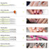 Shills Professional Green Nail Art Brush