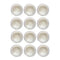 Shills Professional Nail Sugar Powder-White