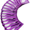Shills Professional Single Eye Lashes Patch