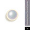 Shills Professional Rainbow Shine Chrome Powder Holographic Silver-SPN-3121