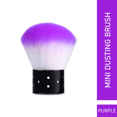 Shills Professional Dusting Brush Small