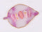 Shills Professional Resin Palette Leaf SPN-1298