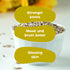 Nourish You Sunflower seeds | Vitamin E-Rich and Antioxidant Rich