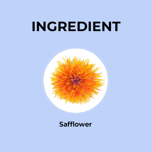Blue Tea Safflower Flower Tea | 20g | Pet Jar