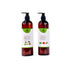 Natuur Natuur's Black Shampoo with Aloe, Hibiscus & Curry Leaves (Pack of 2)