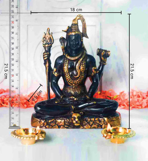 Samskara Home Shantha Shiva Idol