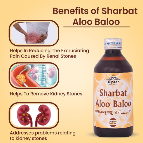 Cipzer Sharbat Aloo Baloo Syrup
